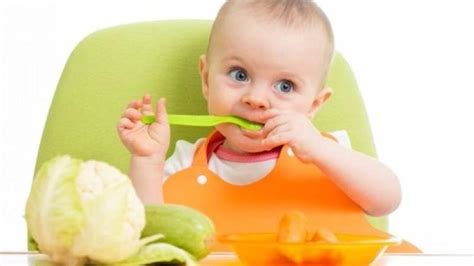 6 Aylık Bebek Mama Tarifleri