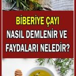 Hamilelikte Yasak Olan Bitki Çayları